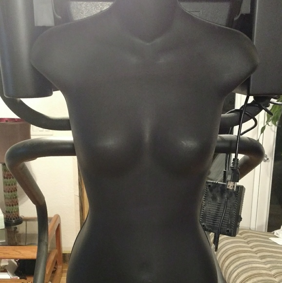 SOLD...Hanging hard plastic half body manniquin - Picture 1 of 2
